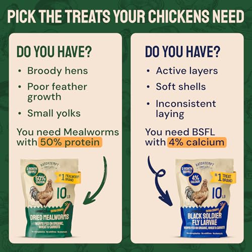 Hatortempt Bulk Dried Mealworms - 10 Lb Bag - Non-GMO Dried Mealworms for Chickens, Ducks & Wild Birds - High-Protein Chicken Feed & Bird Food