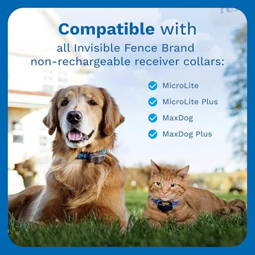 Invisible Fence Power Cap Battery - Original IFB Electric Fence Battery Replacement for Dog Collars - Long-Lasting - 2 Pack