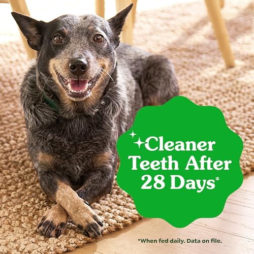 Greenies Veterinarian-Recommended Adult Natural Dental Dog Treats Petite Size, Dog Dental Chews, Original Flavor, 36 oz. Pack, 60 Count