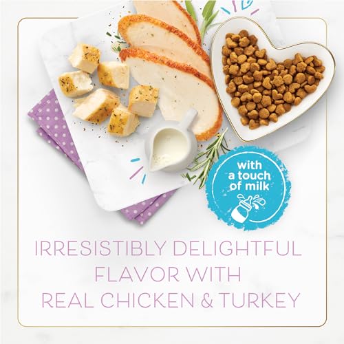 Purina Fancy Feast Kitten With Savory Chicken and Turkey Kitten Dry Food - 3 lb. Bag