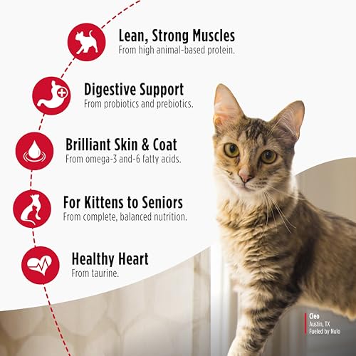 Nulo Freestyle Cat & Kitten Dry Food - Chicken & Cod Recipe, High Protein Grain Free Cat Food, Natural Kibble with Probiotics & Omega Fatty Acids, 4lb Bag