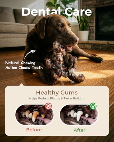 2 Pack Tough Dog Toys for Aggressive Chewers: Ultra-Dense Nylon, Durable Dog Bones, Bacon Flavor, Heavy Duty Dog Chew Toys for Large Dogs 20-90 lbs, Long Lasting & Keep Them Busy