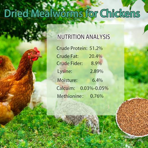 KAYHEN Dried Mealworms for Chickens 10LB Pure Natural Non-GMO High Protein Feed Meal Worms for Laying Hens Wild Birds