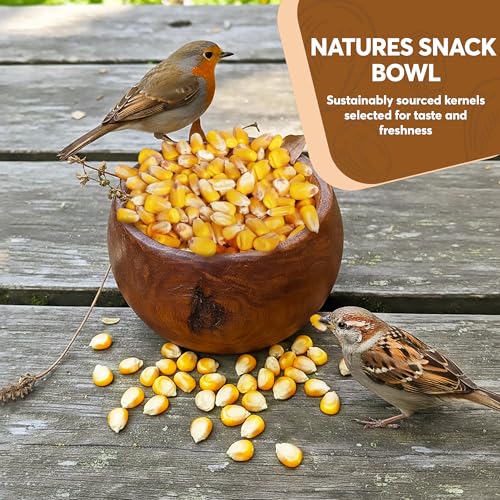 Whole Corn 10 LB– Premium Bird Seed & Wildlife Feed for Ducks, Deer, Squirrels, Chickens, and Turkeys – Whole Corn for Wild Birds – Grown in USA