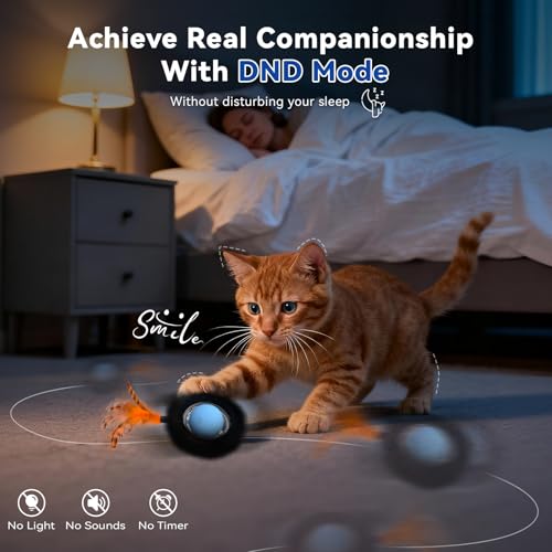 Interactive Cat Toy with Motion Activated Ball & 7-Hole Play Mat, Hide and Seek Exercise Game for Indoor Cats, Automatic Moving Cat Ball in Pouch, Rechargeable Kitten Toys (Starry Night)