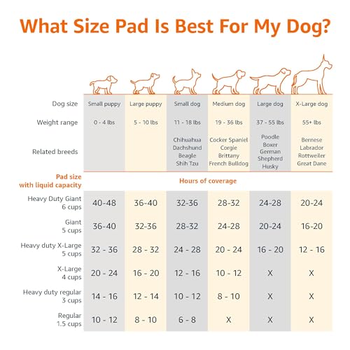 Basics Leak-Proof Dog and Puppy Potty Training Pee Pads with Quick-Dry 5-Layer Super Absorbent Design, Regular Size 22 x 22 inch, Blue & White, 100 Count