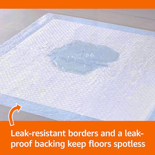 Basics Leak-Proof Dog and Puppy Potty Training Pee Pads with Quick-Dry 5-Layer Super Absorbent Design, Regular Size 22 x 22 inch, Blue & White, 100 Count