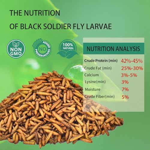 Dried Black Soldier Fly Larvae 20LB-Pure Natural Non-GMO BSF Larvae for Chickens-More Calcium Than Mealworms High-Protein Chickens Treats for Layer Hens Wild Birds Ducks