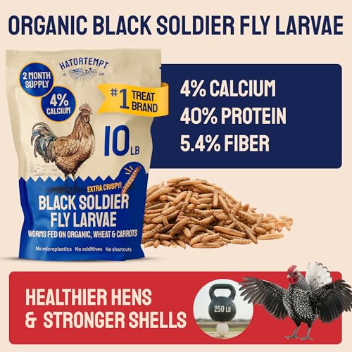Hatortempt 10lb Dried Black Soldier Fly Larvae - More Calcium Than Mealworms for Chickens - High Protein Chicken Feed Treats for Laying Hens, Wild Birds and Duck Food