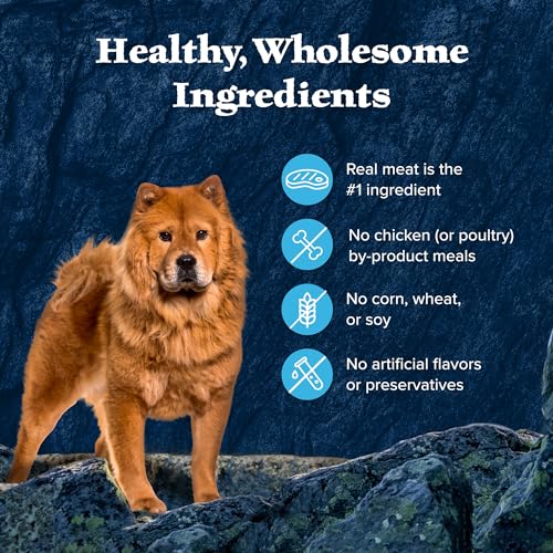 Blue Buffalo Wilderness Trail Toppers Wild Cuts Wet Dog Food Variety Pack, High-Protein & Grain-Free, Made with Natural Ingredients, Chicken and Beef Flavors, 3-oz Pouches, (12 Count, 6 of Each)