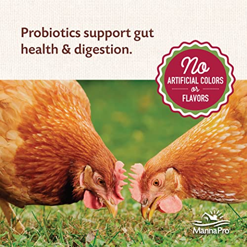 Manna Pro All Flock Crumbles, Crafted with Probiotics for Gut Health & Digestion, 16% Protein for Mixed Flocks with No Artificial Colors or Flavors, Crumbled for Easy Feeding, 8 lbs