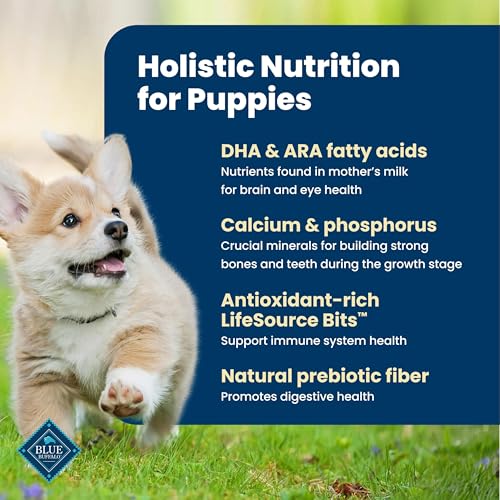 Blue Buffalo Life Protection Formula Chicken & Brown Rice Puppy Dry Dog Food with DHA & ARA, Supports Immunity with Antioxidant-Rich LifeSource Bits, Promotes Healthy Muscles & Strong Bones, 5 lbs.