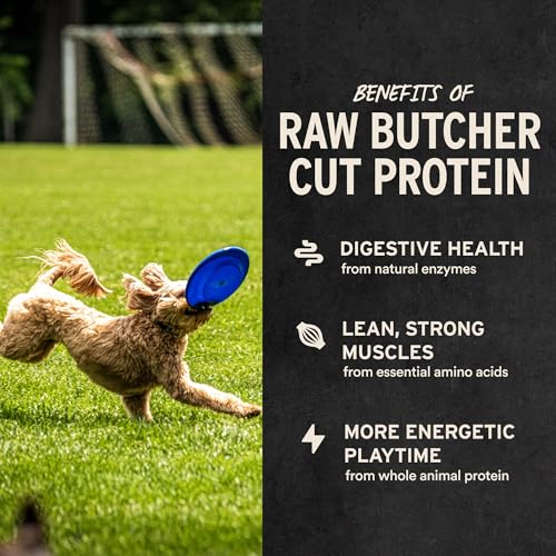 Vital Essentials Freeze Dried Dog Treats | Salmon Bites, Single Protein | Premium Quality | Grain Free Training Treats for Dogs, 2.5 oz Bag