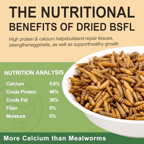 5LB Dried Black Soldier Fly Larvae for Chickens Treats Bulk, Non GMO BSF Larvae 85X More Calcium Than Dried Mealworms for Laying Hens, Chicken Worms for Wild Birds