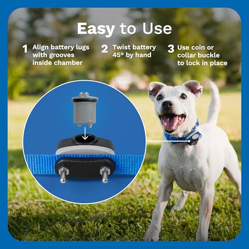 Invisible Fence Power Cap Battery - Original IFB Electric Fence Battery Replacement for Dog Collars - Long-Lasting - 2 Pack