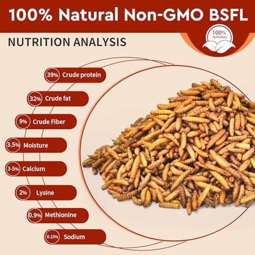 BUNTIE WORMS Dried Black Soldier Fly Larvae 10LB, 100% Natural Non-GMO, No Additives, Treat for Chickens, Reptiles and Birds, More Calcium Than Mealworms