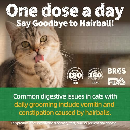 Just Try Cat Treats for Indoor Cats Hairball Control Natural Salmon Healthy Cat Grass Treats Kitten Snacks Training Biscuits Catnip for Cats Dental Care 13.4 OZ