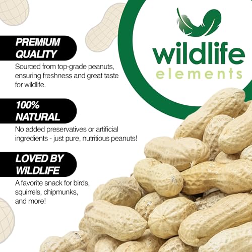 Wildlife Elements Peanut Party Unprocessed, Raw in-Shell Peanuts Wildlife Animal Food, 25lb - Rich in Protein, Healthy Fats, and Essential Nutrients for Birds, Squirrels and Waterfowl