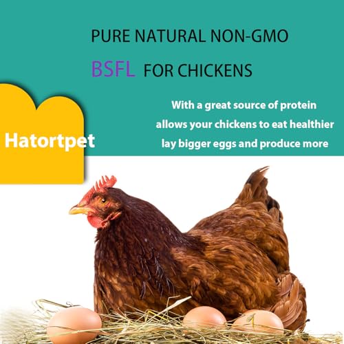Dried Black Soldier Fly Larvae 20LB-Pure Natural Non-GMO BSF Larvae for Chickens-More Calcium Than Mealworms High-Protein Chickens Treats for Layer Hens Wild Birds Ducks