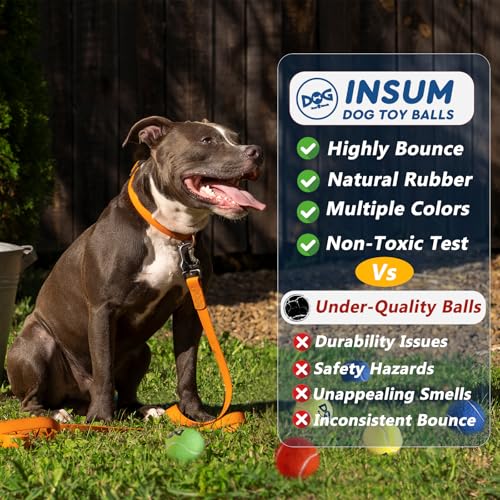 INSUM Tennis Balls for Dogs - 12 Pack 2.5'' Durable Non-Toxic Outdoor Dog Toys Balls with Mesh Bag, SGS Certified, Colorful Fetch Toys, Medium Large Breeds (Non Squeaky)