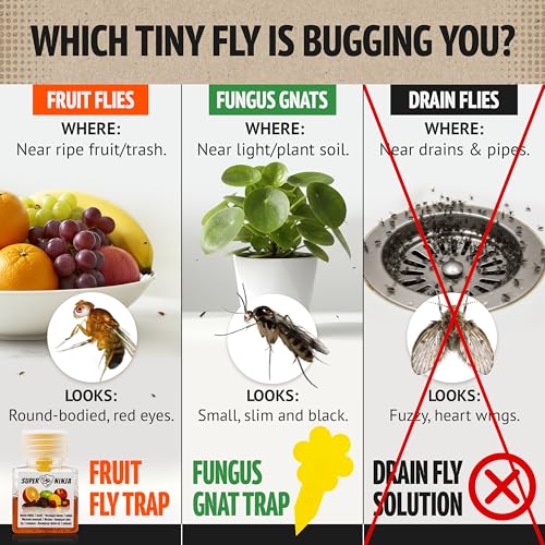 Super Ninja Fruit Fly Traps for Indoors - 4 Pack, Highly Effective Fruit Fly Catcher for Indoor Use for Home & Kitchen, Up to 3 Weeks of Performance per Bottle, Kid & Pet Friendly