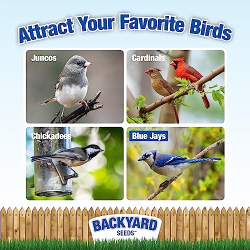 Backyard Seeds Black Oil Sunflower Seeds for Wild Birds 50lbs - Thin Shells, Premium Cardinal Food, Large Bulk Bag of Black Oil Sunflower Seeds