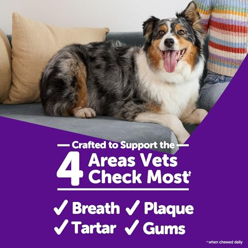 Wellness WHIMZEES Value Pack Natural Dog Dental Treat, Chews, Freshens Breath, Large Size, 50.9 oz Box, 24 Count