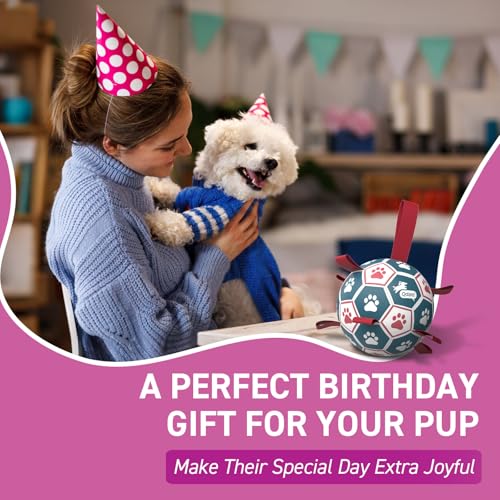 QDAN Dog Balls, World Cup Soccer Ball with Straps, Durable Herding Balls for Small Medium Pet, Puppy Birthday Gifts, Dog Water Toy, Pet Toys Puppy Ball (6 Inch)