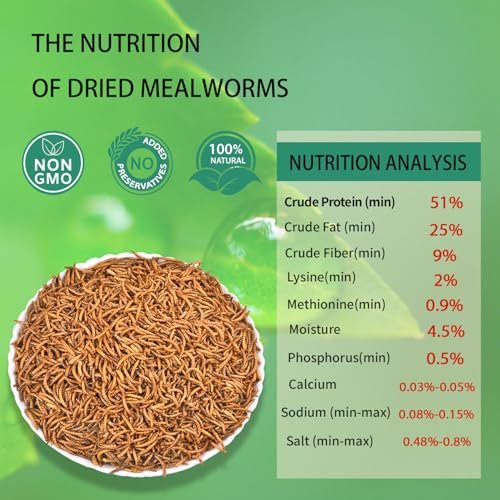 Dried Mealworms 10LB Pure Natural Non-GMO Mealworms for Chickens High Protein Chickens Feed Meal Worms for Laying Hens Wild Birds