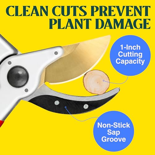 Haus & Garten ClassicPRO 8.5" Professional Premium Titanium Bypass Pruning Shears - Use As Pruners, Garden Shears, Heavy Duty Handheld Pruning Shears For Gardening, Clippers, Pruner Scissor Tool