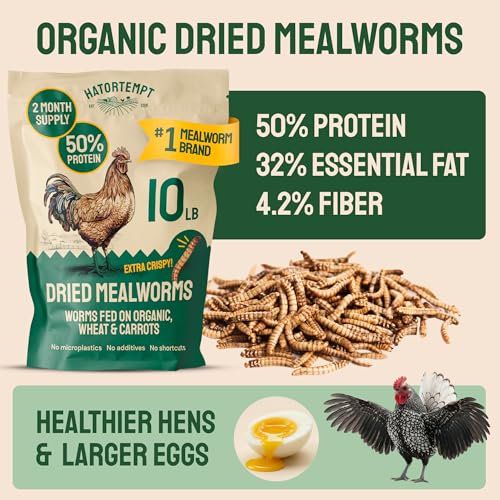Hatortempt Bulk Dried Mealworms - 10 Lb Bag - Non-GMO Dried Mealworms for Chickens, Ducks & Wild Birds - High-Protein Chicken Feed & Bird Food