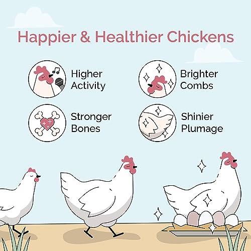 Mile Four Organic Chicken Feed – Starter Chick Mash, Non-GMO, USA Grown, 21% Protein, Corn-Free, Soy-Free, Non-Medicated Chick Feed, 2 lb Sample