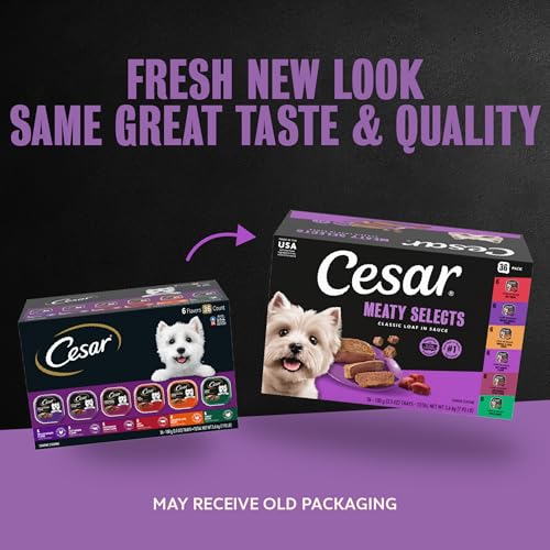 Cesar Wet Dog Food Classic Loaf in Sauce Grilled Chicken, Filet Mignon, Porterhouse Steak, Beef, Chicken & Liver and Turkey Variety Pack 3.5 oz. Easy Peel Trays (36 Count, Pack of 1)