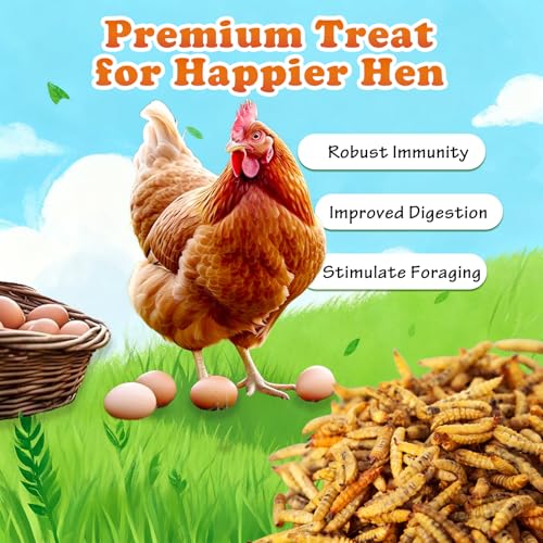 Amzey 11 LBS Dried Black Soldier Fly Larva - All Natural BSF Larvae - 85X More Calcium Than Mealworms - High Calcium Treats for Chickens, Birds, Reptiles, Hedgehog, Geckos, Turtles