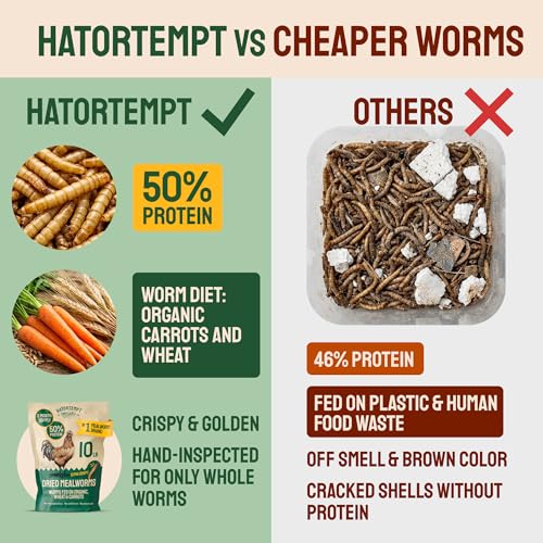 Hatortempt Bulk Dried Mealworms - 10 Lb Bag - Non-GMO Dried Mealworms for Chickens, Ducks & Wild Birds - High-Protein Chicken Feed & Bird Food