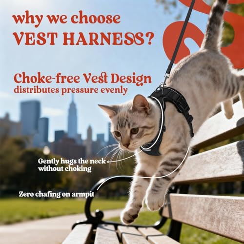 rabbitgoo Cat Harness and Leash for Walking, Escape Proof Soft Adjustable Vest Harnesses for Cats, Easy Control Breathable Reflective Strips Jacket, Black, XS