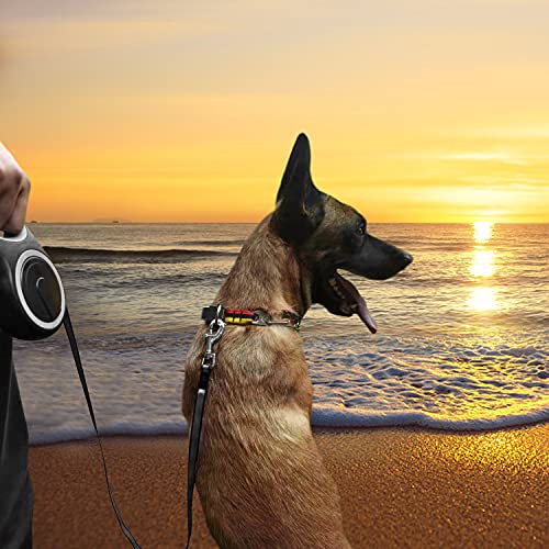 26Ft Retractable Dog Leash, Heavy Duty Great Leash for Dog up to 110 lbs, Anti-Slip Rubberized Handle, One-Handed Brake, Strong Nylon Tape, Tangle Free(Large Size).