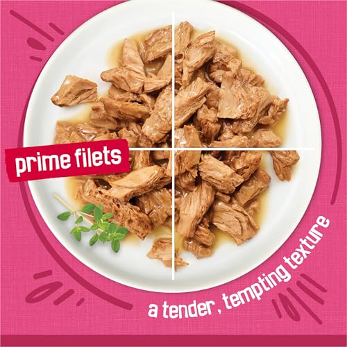 Purina Friskies Gravy Wet Cat Food Variety Pack, Surfin’ and Turfin’  Filets Favorites - (Pack of 40) 5.5 oz. Cans
