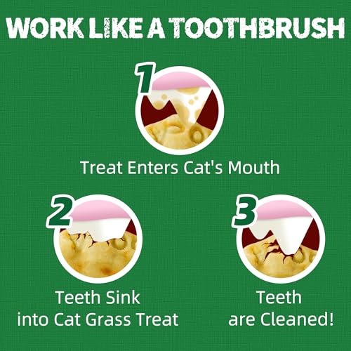 Just Try Cat Treats for Indoor Cats Hairball Control Natural Salmon Healthy Cat Grass Treats Kitten Snacks Training Biscuits Catnip for Cats Dental Care 13.4 OZ