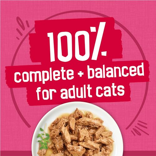 Purina Friskies Gravy Wet Cat Food Variety Pack, Surfin’ and Turfin’  Filets Favorites - (Pack of 40) 5.5 oz. Cans