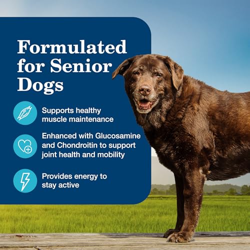 Blue Buffalo Homestyle Recipe Senior Wet Dog Food, Made with Natural Ingredients, Chicken Dinner with Garden Vegetables, 12.5-oz Cans (12 Count)