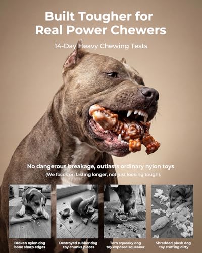 2 Pack Tough Dog Toys for Aggressive Chewers: Ultra-Dense Nylon, Durable Dog Bones, Bacon Flavor, Heavy Duty Dog Chew Toys for Large Dogs 20-90 lbs, Long Lasting & Keep Them Busy