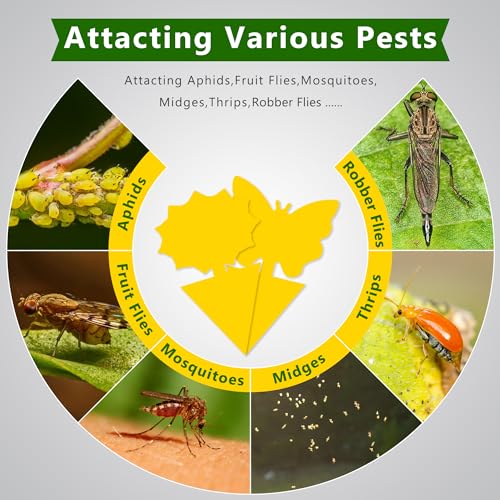 Fruit Fly Traps Indoor Fungus Gnat Trap 48PCS for Plants Yellow Houseplants Outdoor Use Insect Sticky