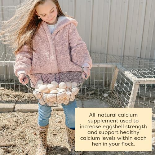 Scratch and Peck Oyster Shell Supplement - 4 lb Bag - Natural Calcium Boost for Healthy Eggshells in Chickens and Ducks, Sustainably Sourced Pure Flaked Oyster Shell