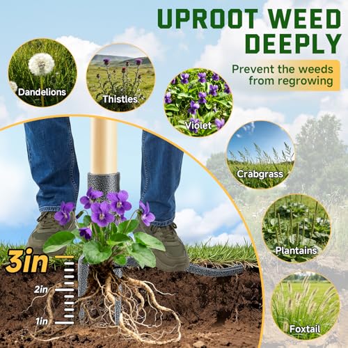 Weed Puller Tool, Stand Up Heavy Duty Weed Remover Tool with Long Handle & 4-Claw Steel Head, Bamboo Garden Hand Weeding Tool - Easily Remove Weeds Without Bending, Pulling,or Kneeling