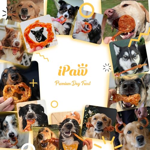 iPaw Turkey Tendons for Dogs, Single Protein, Hypoallergenic, All Natural Human Grade Puppy Chew, Rawhide Alternative Dog Treats, 1 Pack Strip (Large)