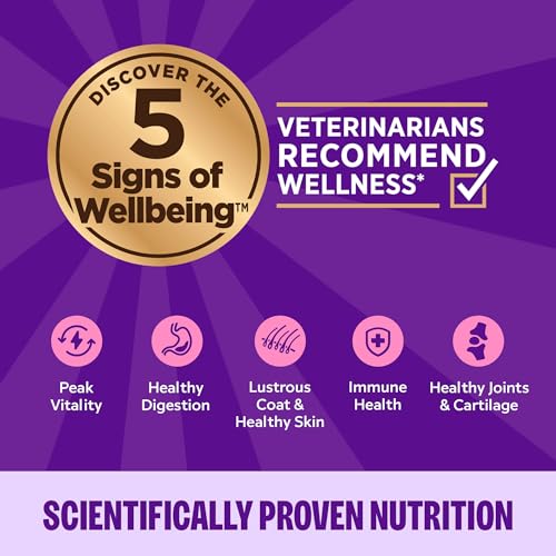 Wellness Complete Health Pate Variety Pack Kitten Canned Wet Cat Food, Natural, Protein Rich, Grain Free, Whitefish and Chicken Recipes, 3 oz, Pack of 12 Cans