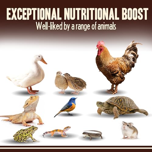 Pet Faves Dried Mealworms for Chickens, Birds, Hamster, Reptile and Turtle - Premium Non-GMO Treats with 55% Protein for Laying Hens - Organic Food for Wild Bird, Bluebirds, Robins, Cardinals. 5 Lb