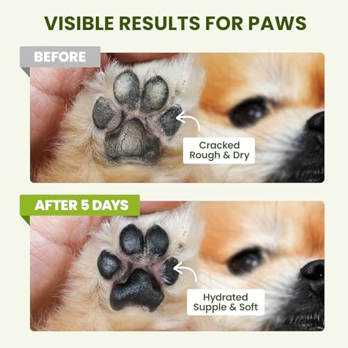PawSono Lick-Safe Dog Paw & Nose Balm with Coconut Oil | All-Natural Moisturizer & Soother for Dry, Cracked Pads & Snout | Heat & Cold Pavement Protection Wax, Nose Butter for Bulldogs (2.1 oz / 60 g)