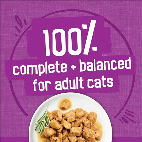 Purina Friskies Gravy Wet Cat Food Variety Pack, Poultry Shreds, Meaty Bits and  Filets - (Pack of 32) 5.5 oz. Cans